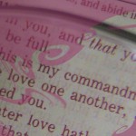 Love One Another Bible Verses and Application