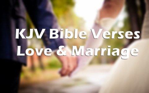 bible verse about marriage between man and woman kjv