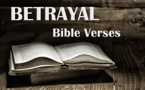 quotes about family betrayal bible